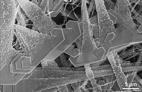 MATERIALS SYNTHESIS OF MULTI-DIMENSIONAL ARCHITECTURES FOR ENERGY CONVERSION AND STORAGE